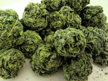 Jiaogulan (Tausendkraut)