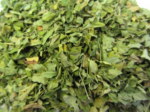 Moringa Blätter Tee