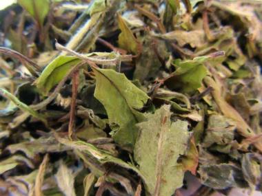 Pai Mu Tan Weißer Tee