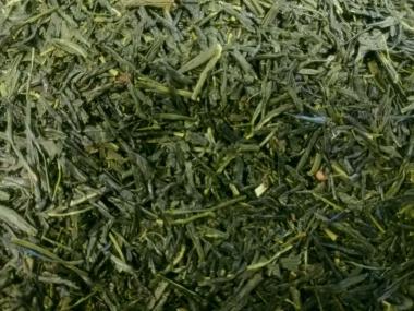 Schatten Tee Japan Gyokuro