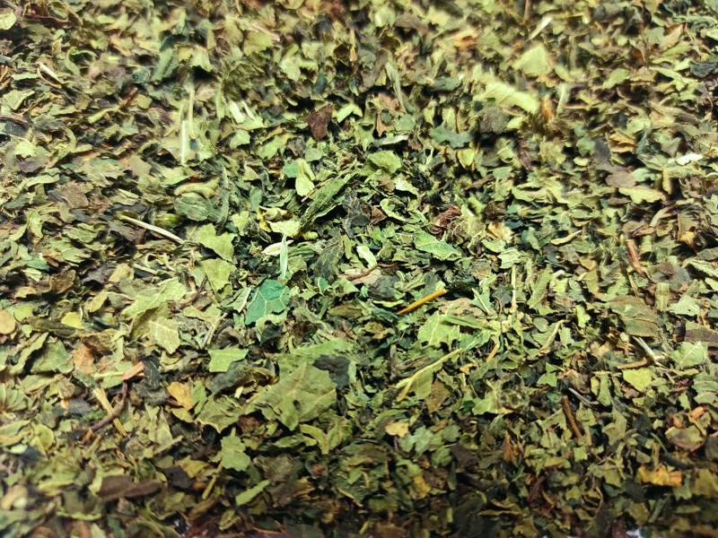 Brennnessel Tee leichter Wasser lassen